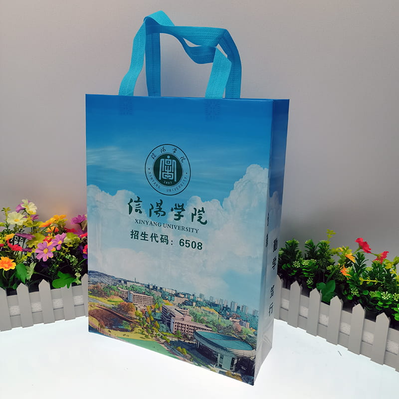 无纺布手提袋厂家订制